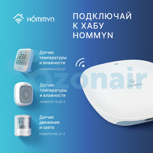Блок управления (шлюз) HOMMYN Hub HH-01
