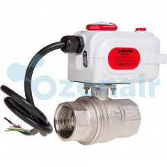 Клапан зональный Giacomini двухходовой моторизированный 1 1/2" - 230 V, R276BX007
